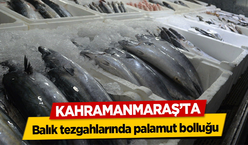 Kahramanmaraş’ta balık tezgahlarında palamut bolluğu