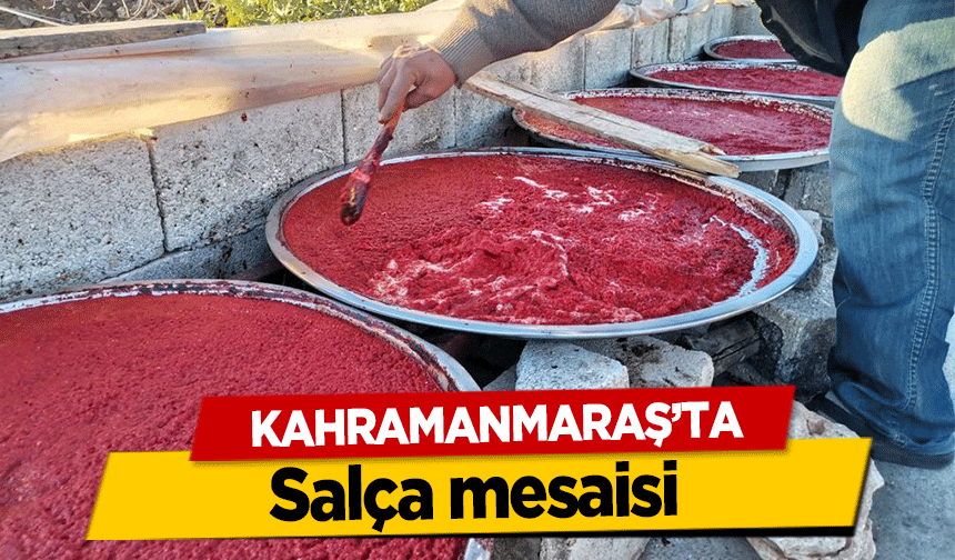 Kahramanmaraş’ta salça mesaisi