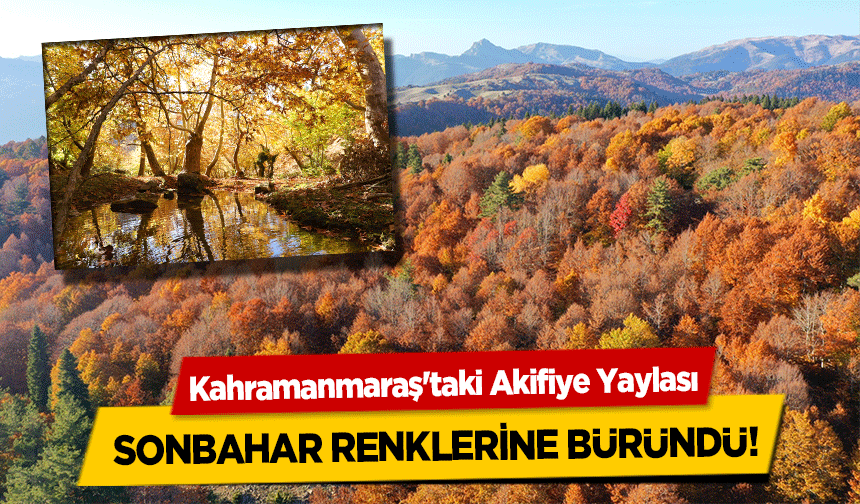 Kahramanmaraş'taki Akifiye Yaylası sonbahar renklerine büründü!