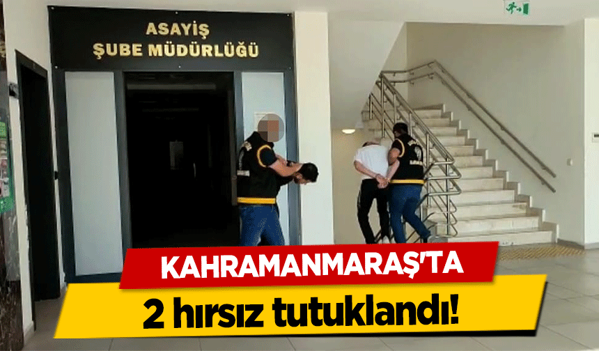 Kahramanmaraş'ta 2 hırsız tutuklandı