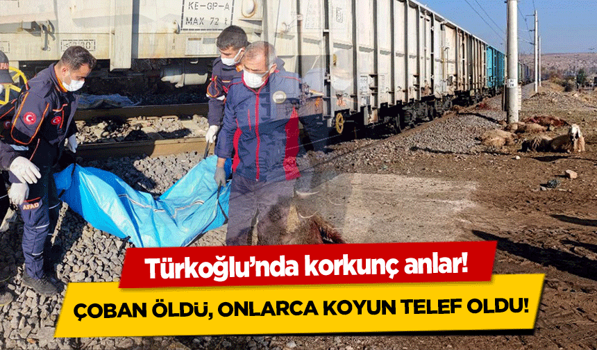 Türkoğlu’nda korkunç anlar! Çoban öldü, onlarca koyun telef oldu!