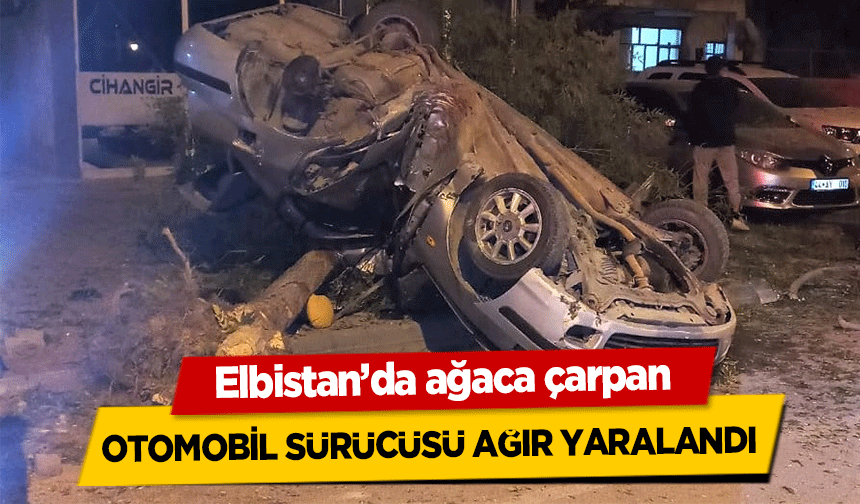 Elbistan’da ağaca çarpan otomobil sürücüsü ağır yaralandı